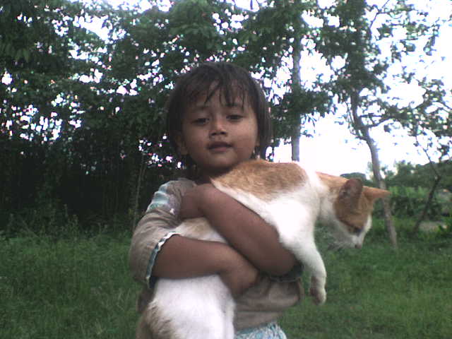 DSC00001 1